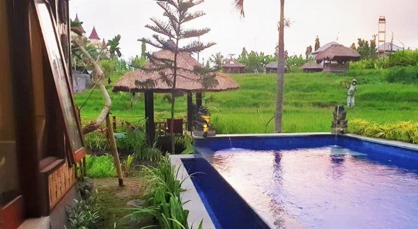 KTS Balinese Villas image 15