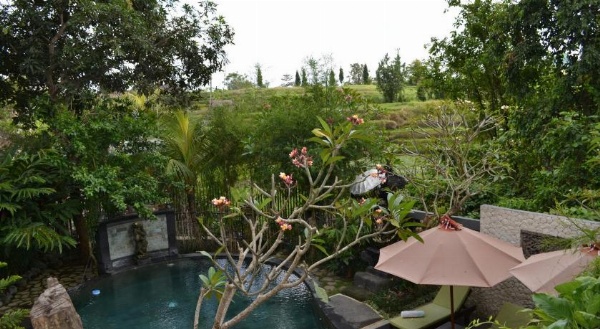 KTS Balinese Villas image 17