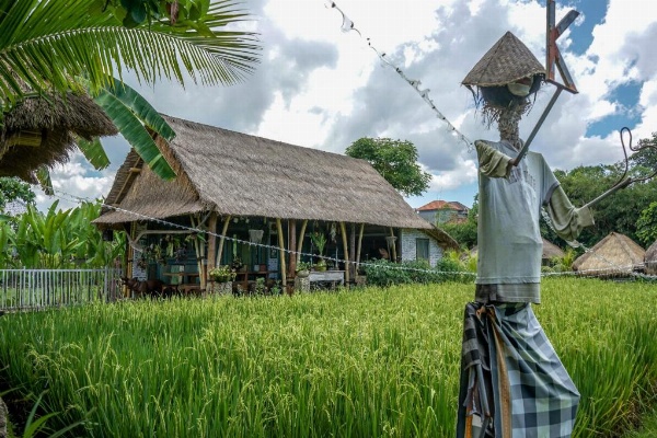 KTS Balinese Villas image 30